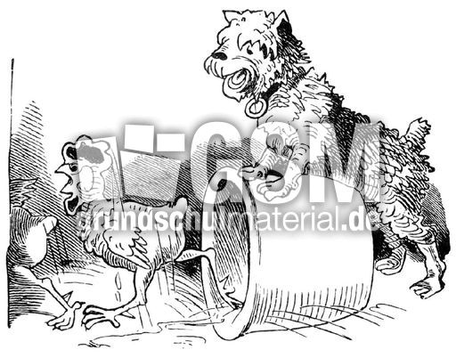 Hahnenkampf sw 13.jpg